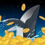 crypto30x.com ocean